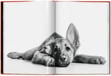 Walter Chandoha. Dogs. Photographs 1941–1991 (English) - POPvault