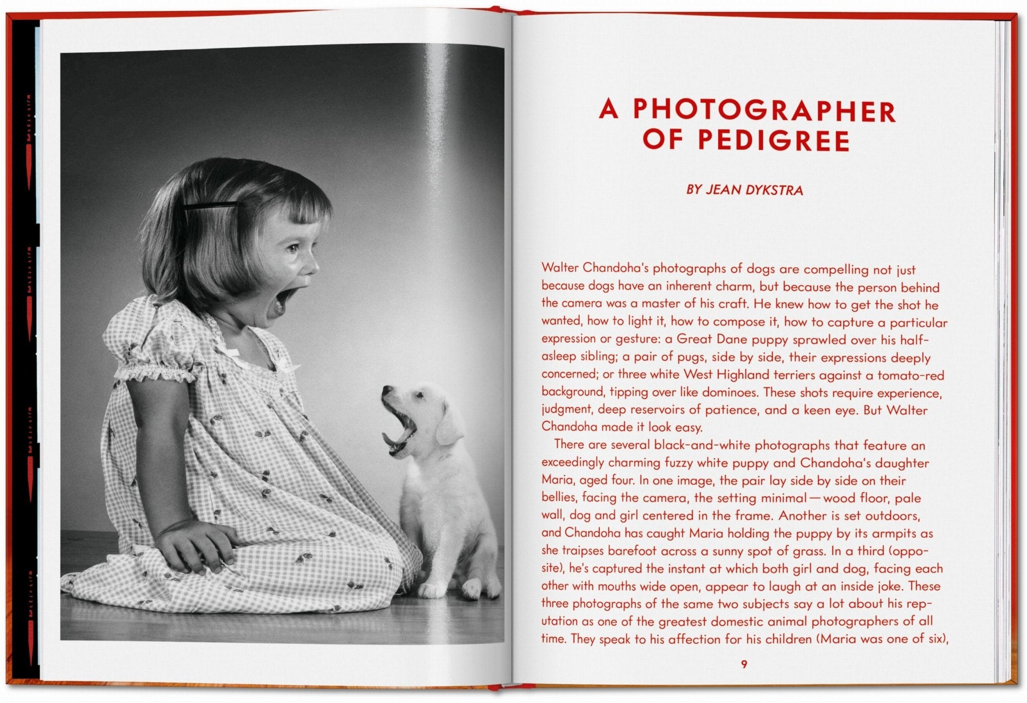 Walter Chandoha. Dogs. Photographs 1941–1991 (English) - POPvault