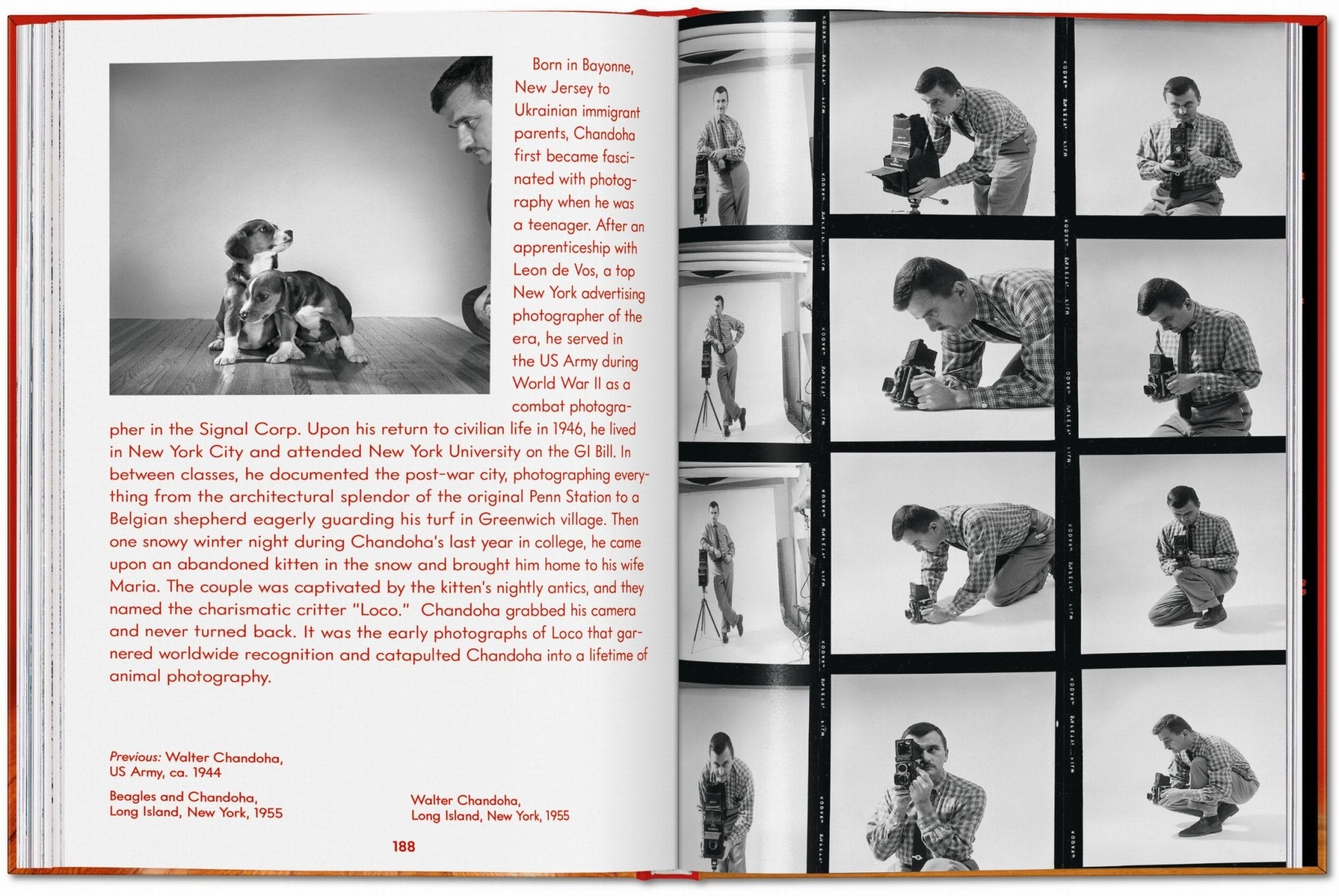 Walter Chandoha. Dogs. Photographs 1941–1991 (English) - POPvault
