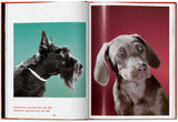 Walter Chandoha. Dogs. Photographs 1941–1991 (English) - POPvault