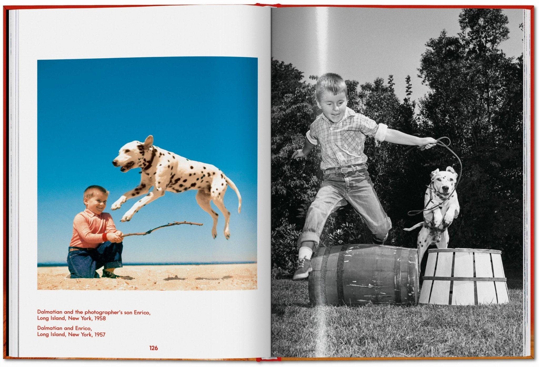 Walter Chandoha. Dogs. Photographs 1941–1991 (English) - POPvault