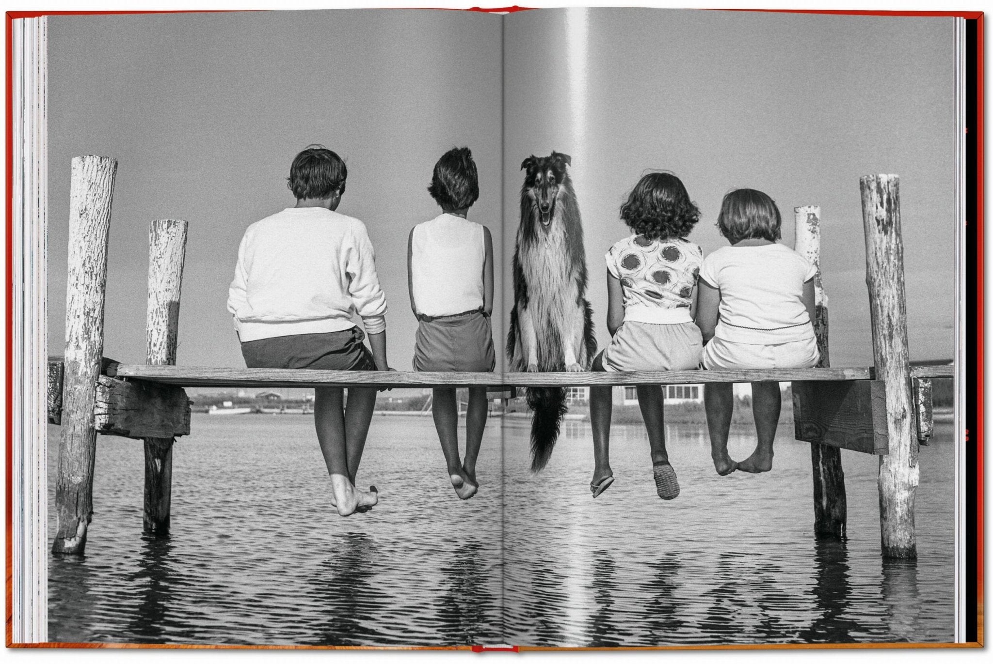 Walter Chandoha. Dogs. Photographs 1941–1991 (English) - POPvault