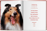 Walter Chandoha. Dogs. Photographs 1941–1991 (German, French, English) - POPvault