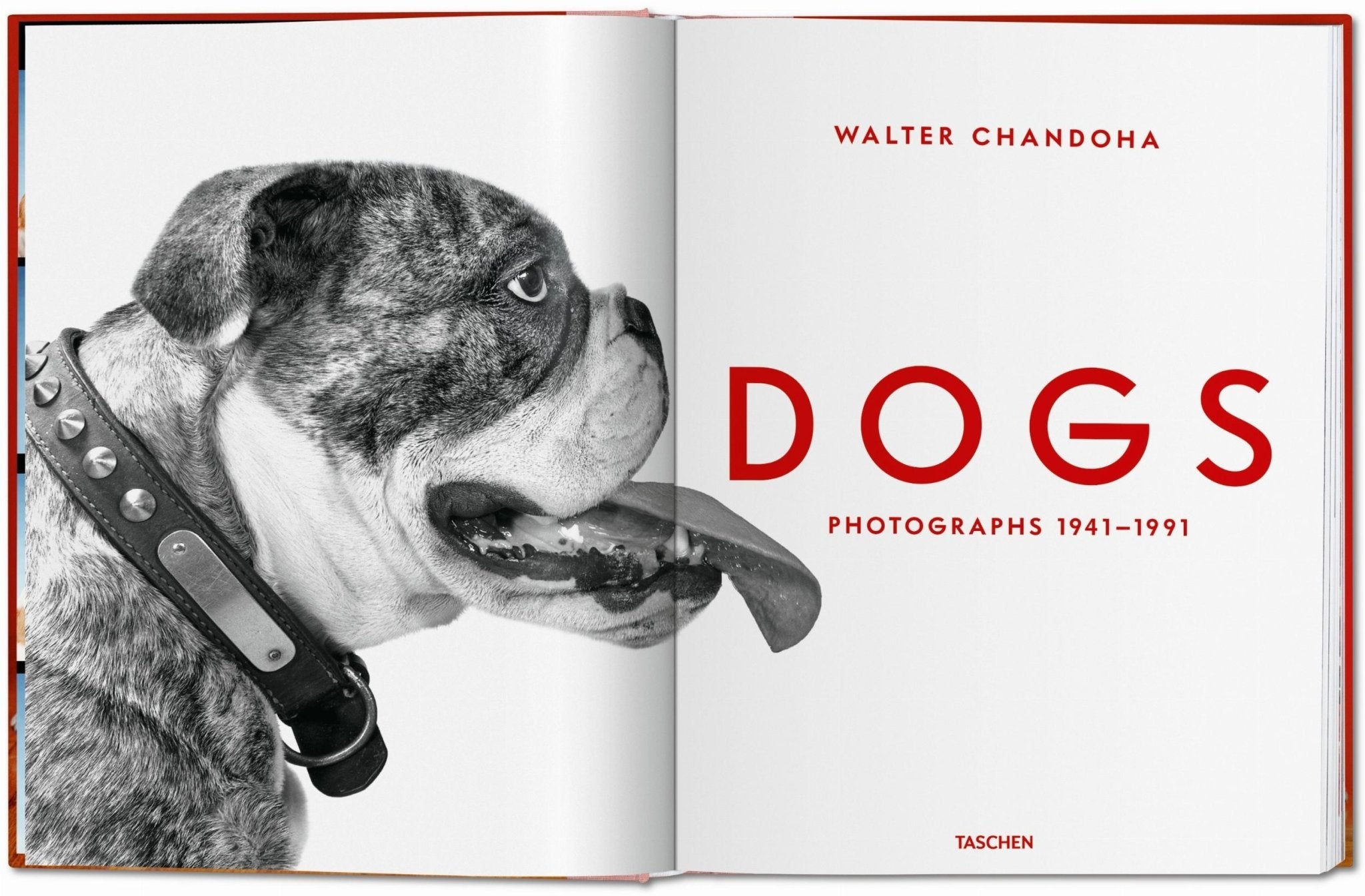 Walter Chandoha. Dogs. Photographs 1941–1991 (German, French, English) - POPvault
