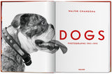 Walter Chandoha. Dogs. Photographs 1941–1991 (German, French, English) - POPvault