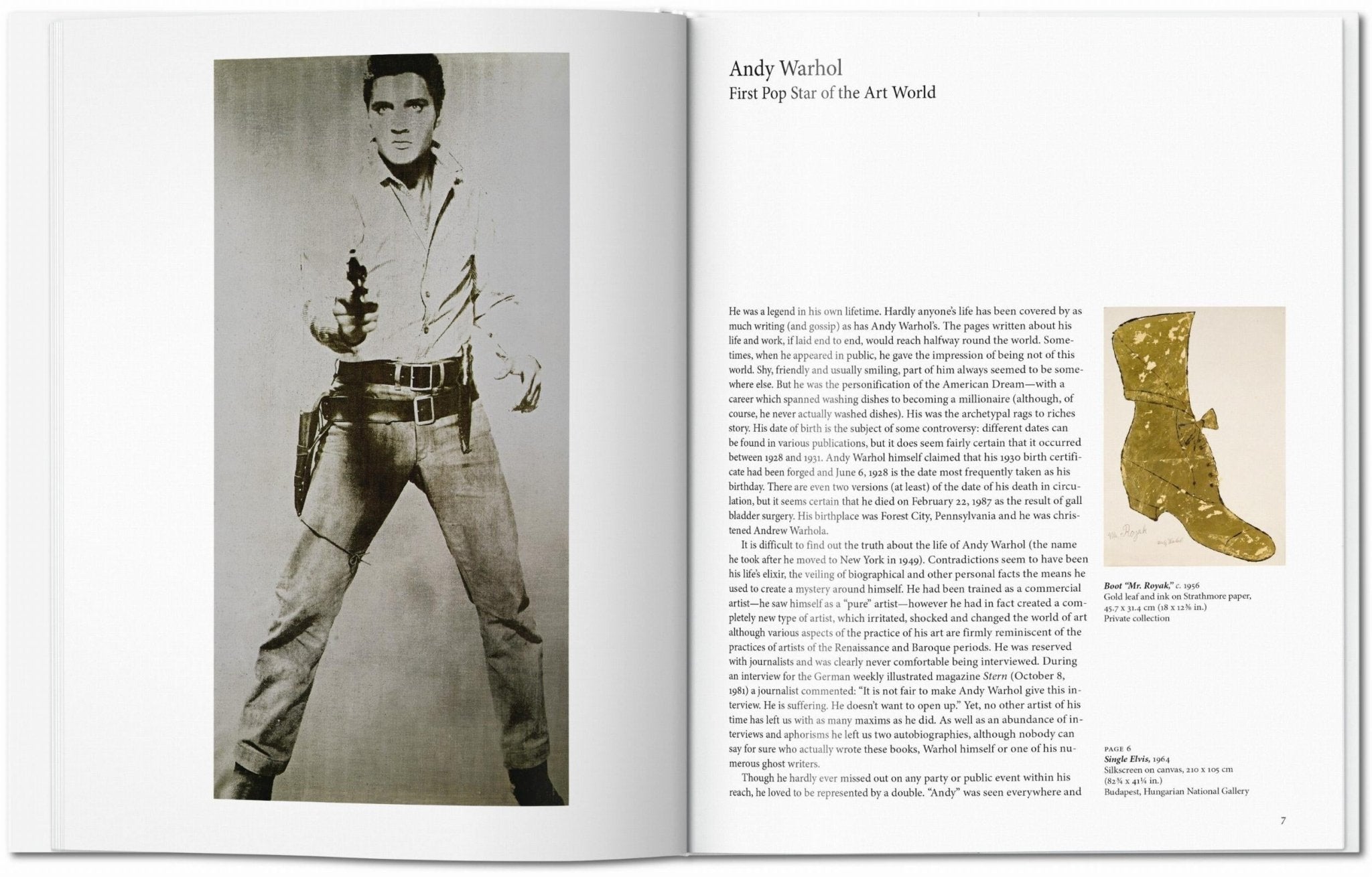 Warhol (English) - POPvault