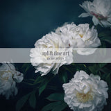 White Peony Moody Wall Art Print - POPvault