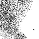 Wilco - Sky Blue Sky [LP] Vinyl Record - POPvault