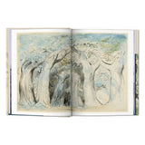 William Blake. Dante’s ‘Divine Comedy’. The Complete Drawings (English)-POPvault