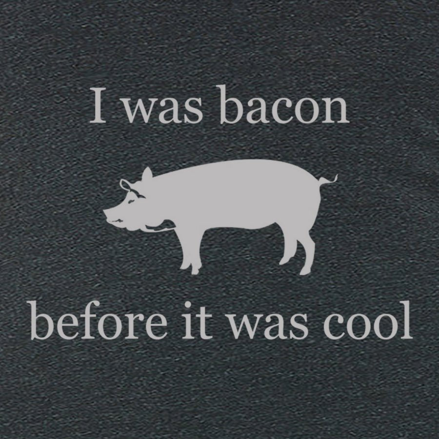 Women's I Was Bacon Before It Was Cool T-Shirt - POPvault