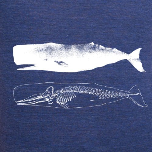 Women's Whale and Skeleton T-Shirt - POPvault